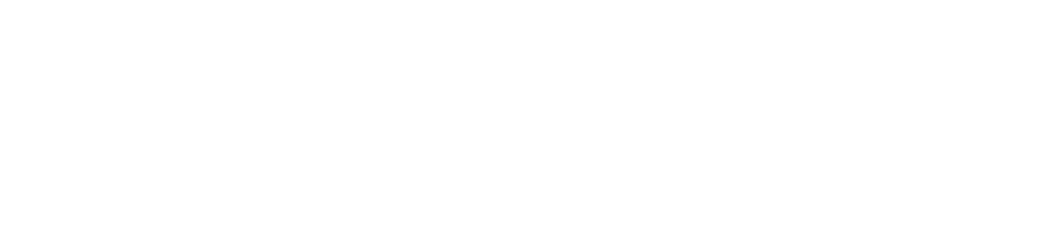 Sesam_Logo-white